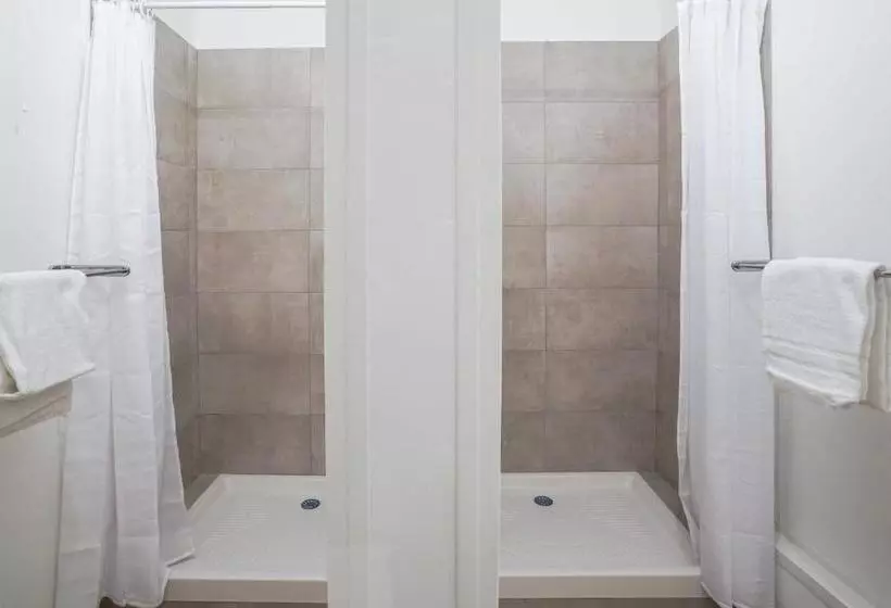 Nocnoc   La Comédie