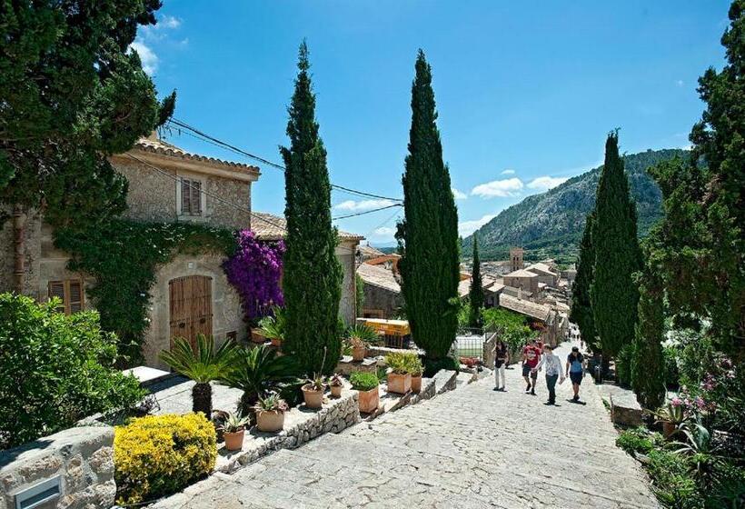 Owl Booking Villa Rafals   Wonder In The Midst Of Nature