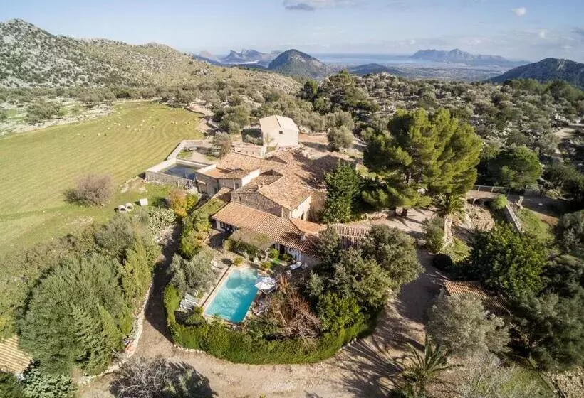 Owl Booking Villa Rafals   Wonder In The Midst Of Nature