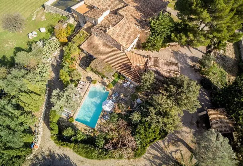 Owl Booking Villa Rafals   Wonder In The Midst Of Nature