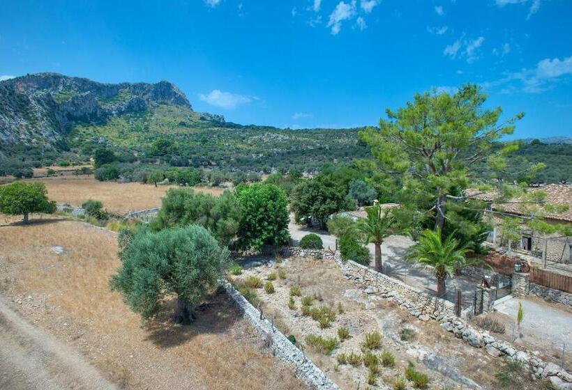 Owl Booking Villa Rafals   Wonder In The Midst Of Nature