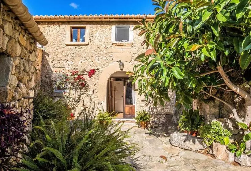 Owl Booking Villa Rafals   Wonder In The Midst Of Nature