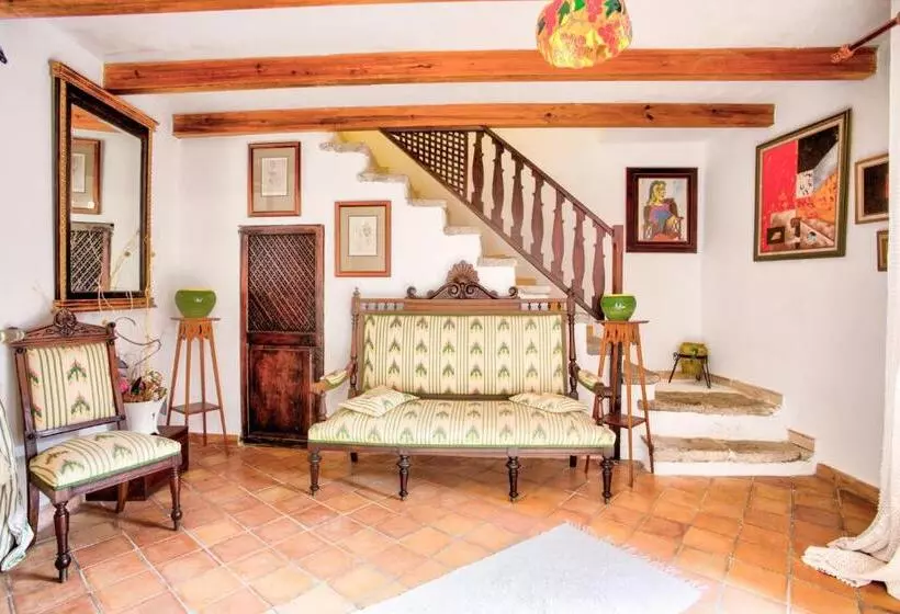 Owl Booking Villa Rafals   Wonder In The Midst Of Nature