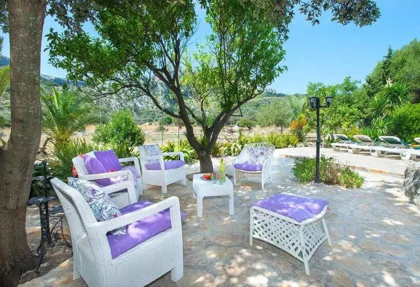 Owl Booking Villa Rafals   Wonder In The Midst Of Nature
