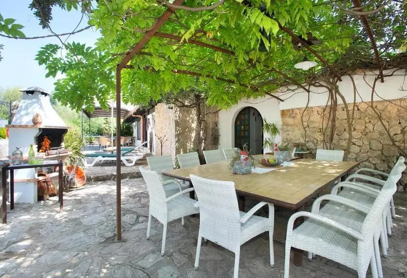 Owl Booking Villa Rafals   Wonder In The Midst Of Nature