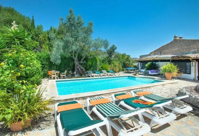 Owl Booking Villa Rafals   Wonder In The Midst Of Nature