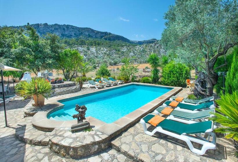 Owl Booking Villa Rafals   Wonder In The Midst Of Nature