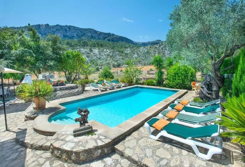 Owl Booking Villa Rafals   Wonder In The Midst Of Nature