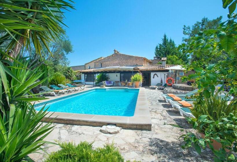 Owl Booking Villa Rafals   Wonder In The Midst Of Nature