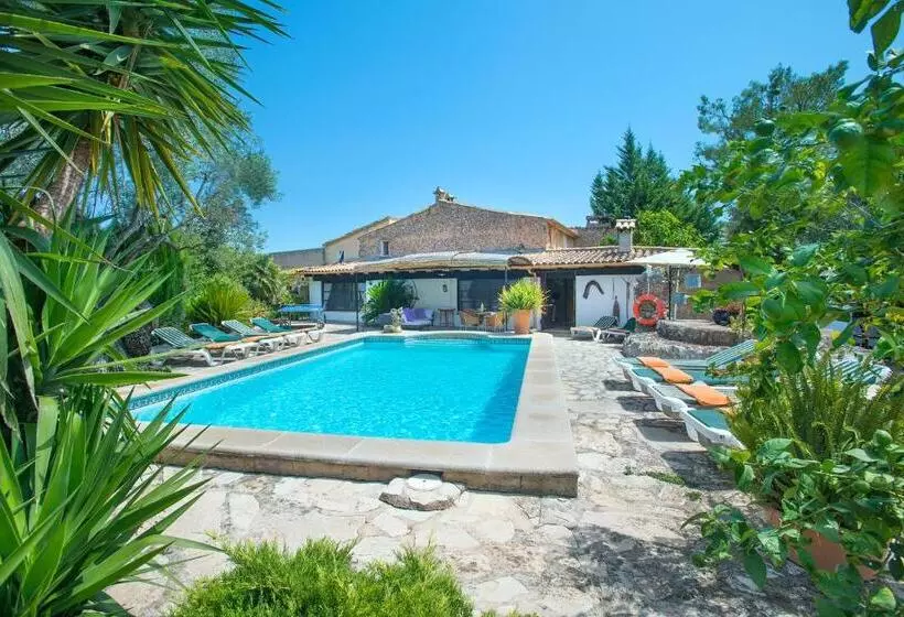 Owl Booking Villa Rafals   Wonder In The Midst Of Nature