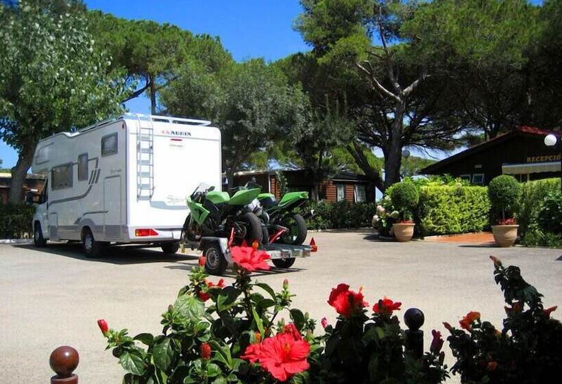Hotelli Camping Vall D'or