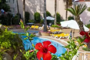 ホテル Guitart Rosa - Adults Only