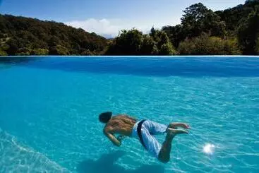 Отель Oreillys Rainforest Retreat