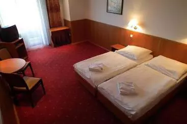 Отель Fenyves Panorama