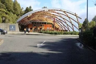 호텔 Waitomo Caves Guest Lodge
