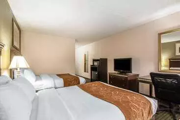 ホテル Comfort Inn & Suites Rochelle   Dekalb