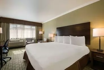 汽车旅馆 Best Western Holiday