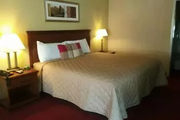 호텔 Springfield Inn Tn