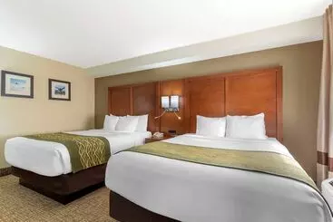 Отель Comfort Inn & Suites  Near Robins Air Force Base Main Gate