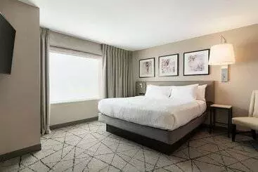 Hotel Hilton Garden Inn  Springfield