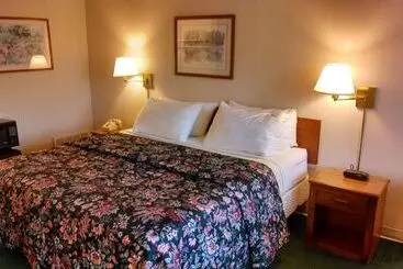 ホテル Amercia S Best Value Inn   Marion