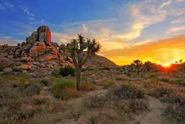 汽车旅馆  Economy Inn Barstow