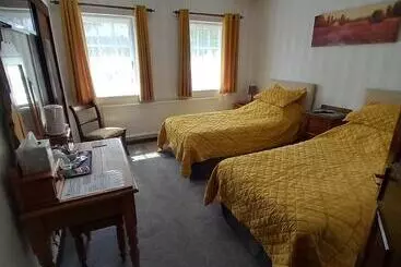 هتل The Griffin Llyswen