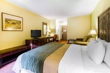 فندق Comfort Inn I17 & I40