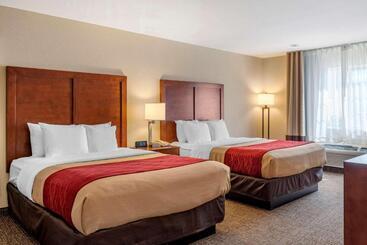فندق Comfort Inn & Suites