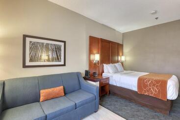 ホテル Comfort Suites Appleton Airport