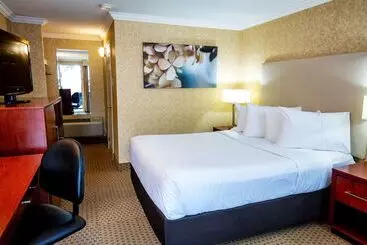 فندق Best Western Voyageur Place