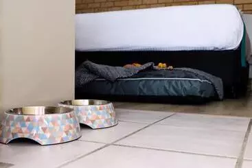 Kennedy Drive Airport Motel