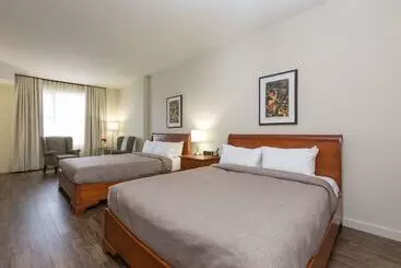 호텔 Chateau Laurier Quebec