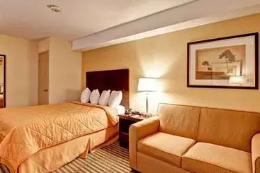 酒店 Comfort Inn East Scarborough