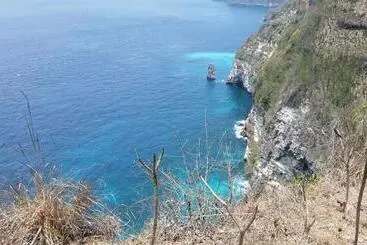 Bed & Breakfast Palm Bamboo