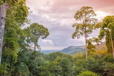 ツーリストアパートメント Casa Odi Sea   Portasol Vacation Rentals