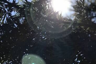 Пансион Bannraiphontawan