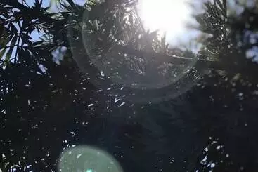 ペンション Bannraiphontawan