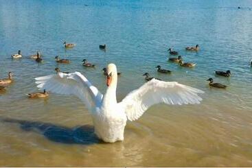 Pensão Domaine Mongiron