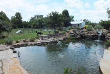 Résidence hôtelière Montrose Farms Alpaca Ranch