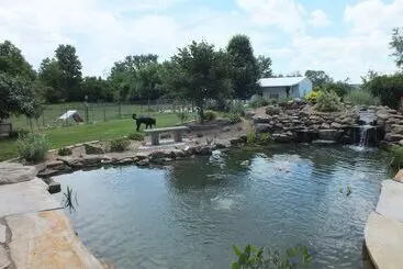 Residenssi Montrose Farms Alpaca Ranch