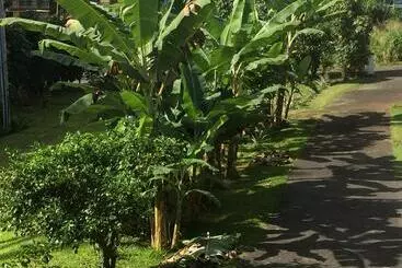 Hilo Bay Oceanfront Bed And Breakfast