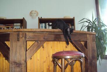 تختخواب و صبحانه El Gato Negro