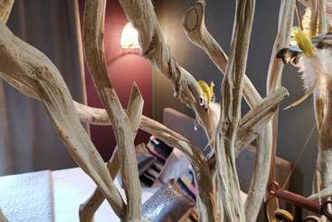 کلبه La Maison Saint Louis