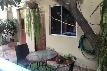 Funky Monkey Hostel
