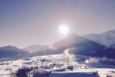 Пансион Steindlhof In Walchsee