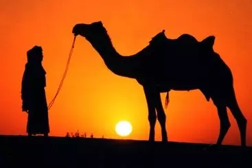 Hôtel Bhawana Camp And Resorts