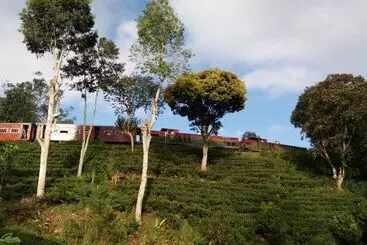 ホテル Train View Chalet