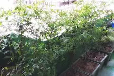 Pansiyon Dana Haru Guesthouse