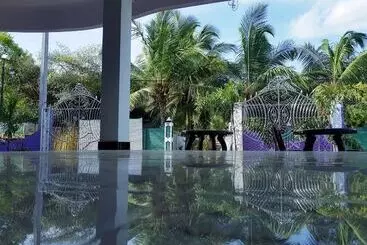 Pensión Snp Star Guest House